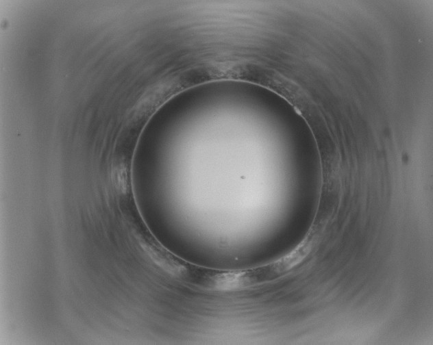 X0000073710090200608031250