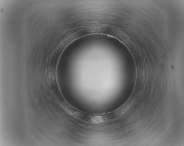 X0000073710091200608031250