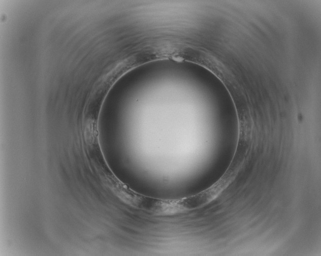 X0000073710093200608031250