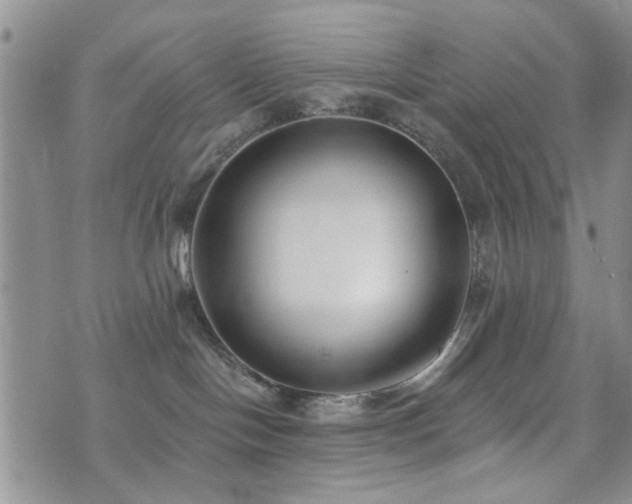 X0000073710094200608031250