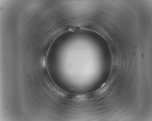 X0000073710095200608031250