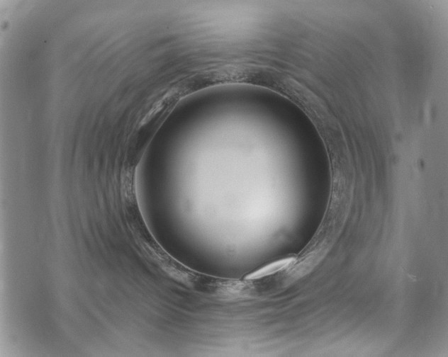 X0000073710096200608031250