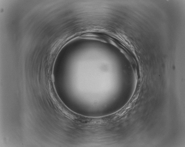 X0000073710097200608031250