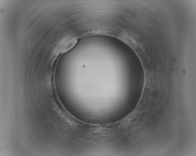 X0000073710098200608031250