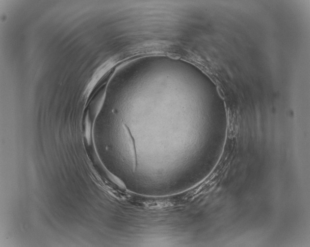 X0000073710099200608031249