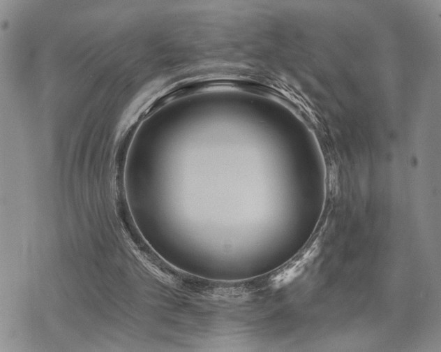 X0000073710101200608031249