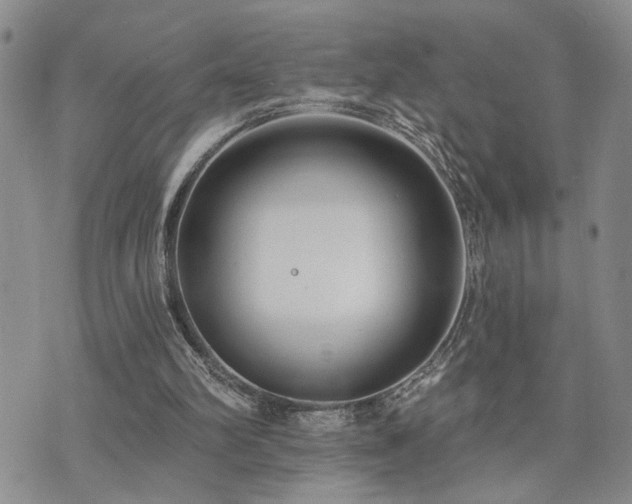 X0000073710102200608031249