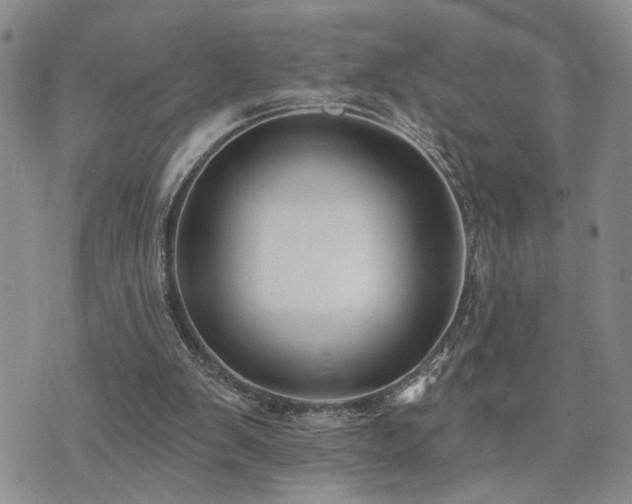 X0000073710103200608031249