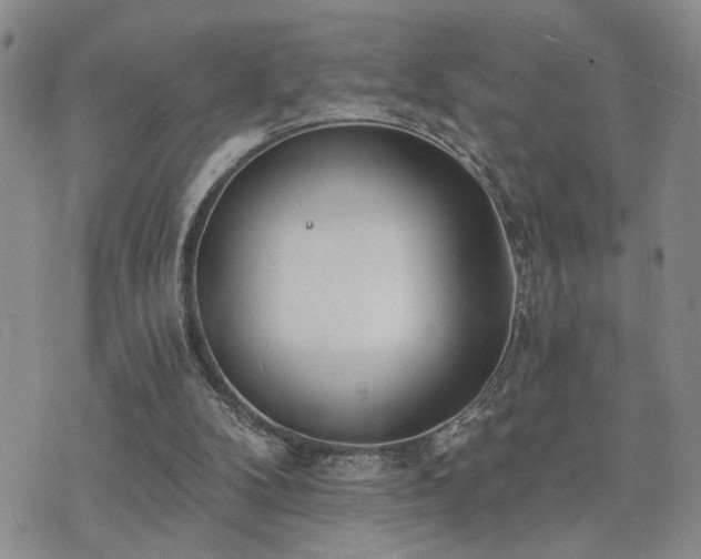 X0000073710104200608031249