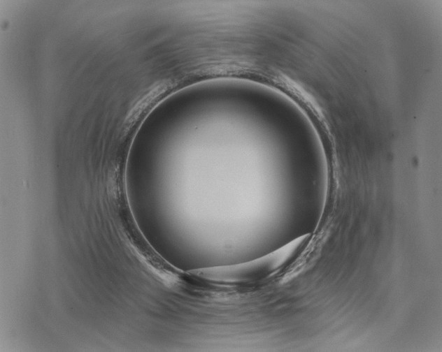 X0000073710105200608031249