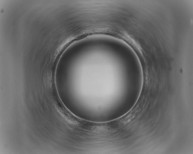 X0000073710107200608031249