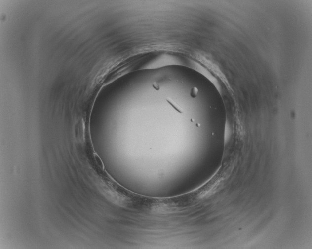 X0000073710109200608031249