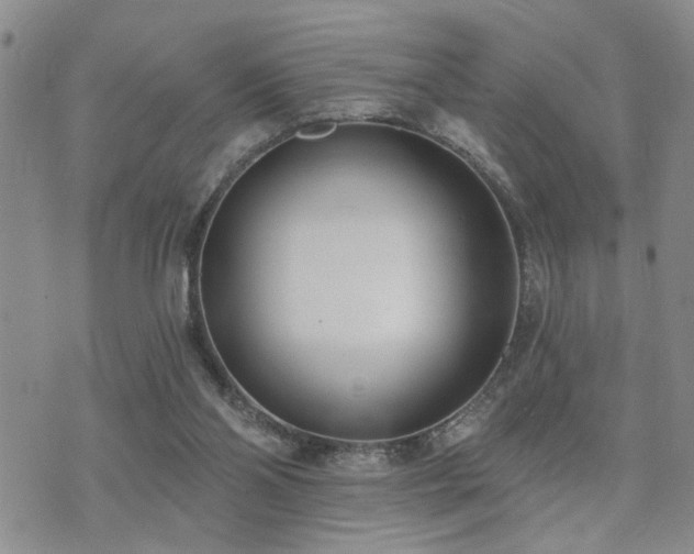 X0000073710110200608031249