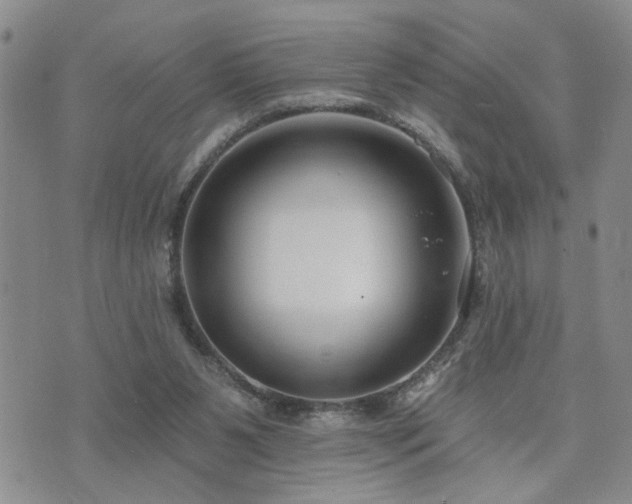 X0000073710111200608031249