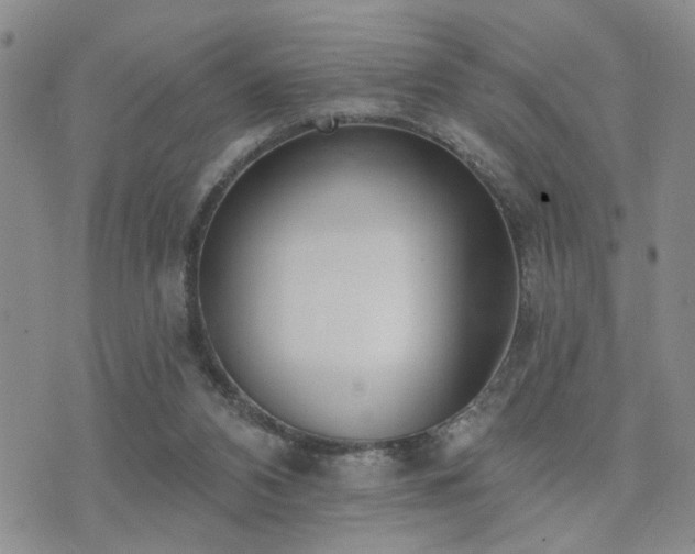 X0000073710112200608031249