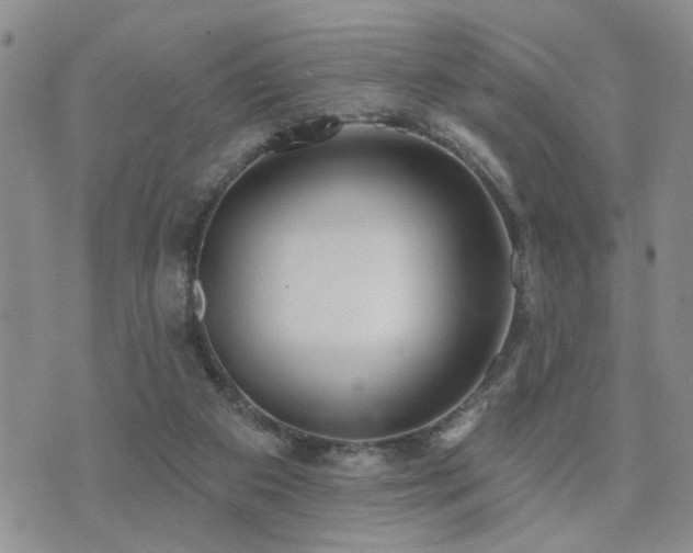 X0000073710113200608031249