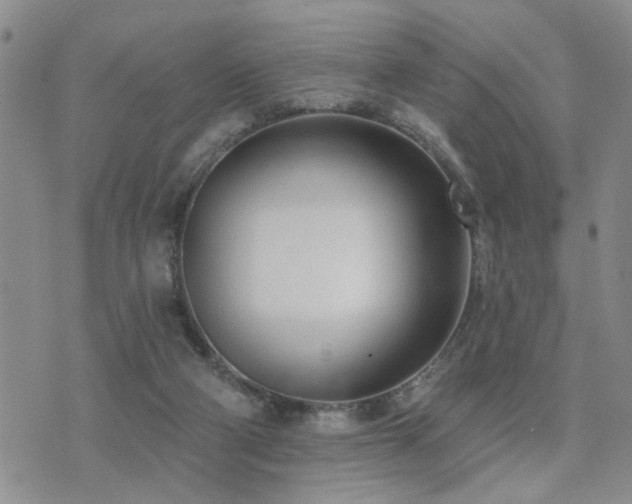 X0000073710114200608031249