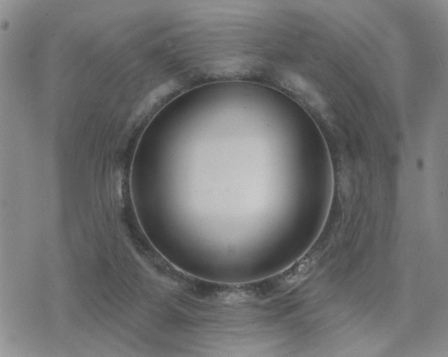 X0000073710115200608031249