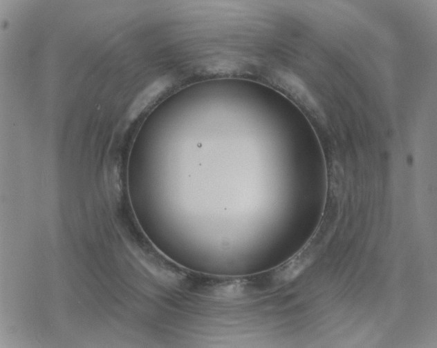 X0000073710116200608031249