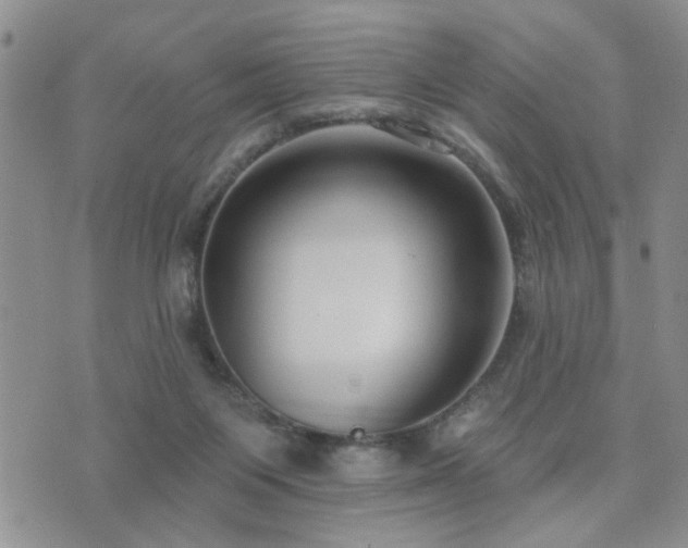 X0000073710119200608031249