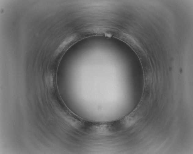 X0000073710120200608031249