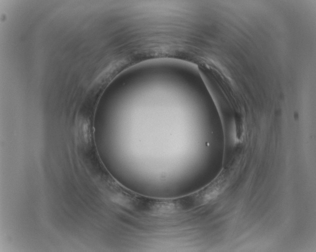 X0000073710123200608031249