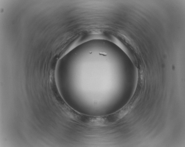 X0000073710125200608031249