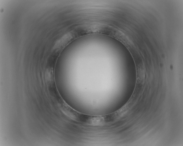 X0000073710126200608031249