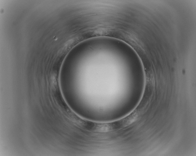 X0000073710127200608031249