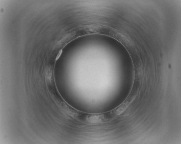 X0000073710129200608031249