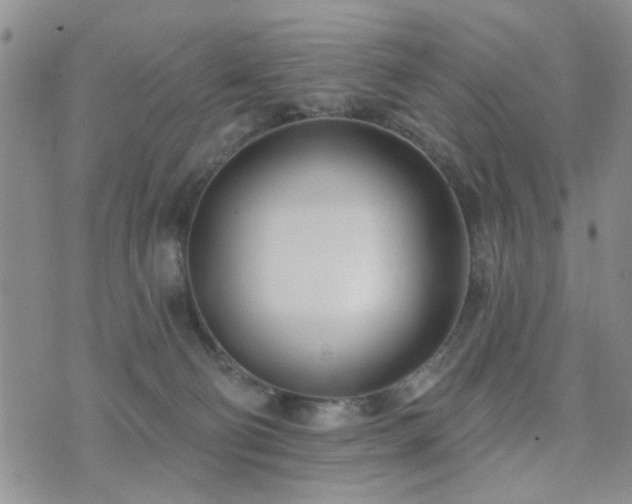 X0000073710130200608031249