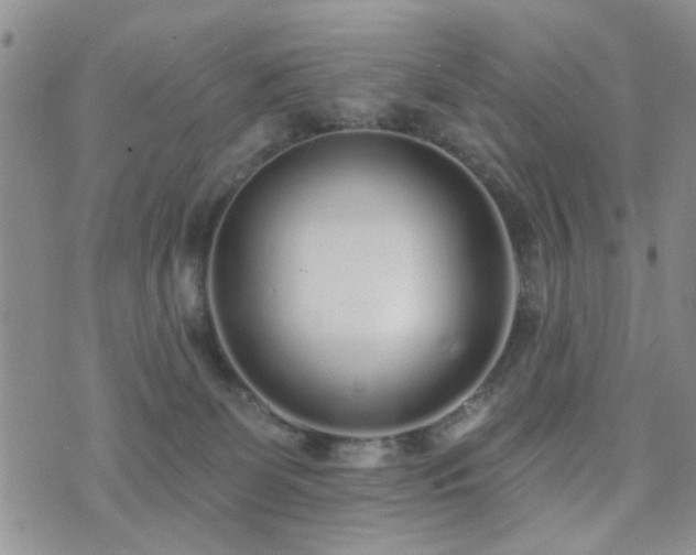 X0000073710131200608031249