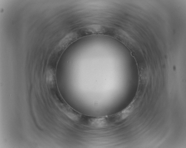 X0000073710132200608031249