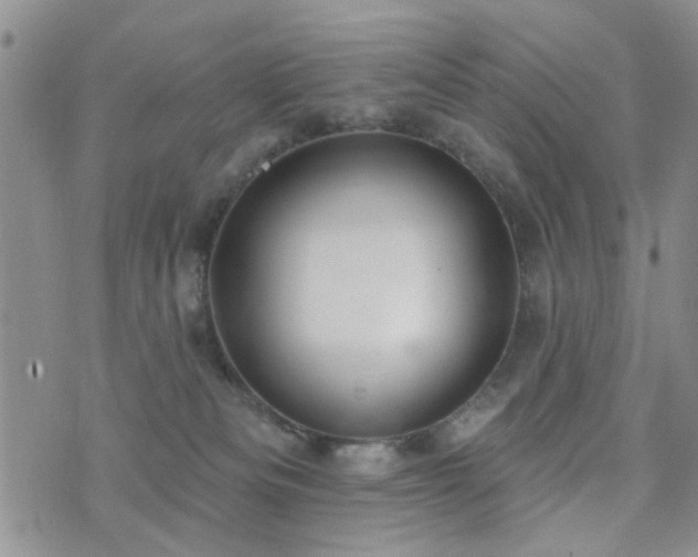 X0000073710133200608031249