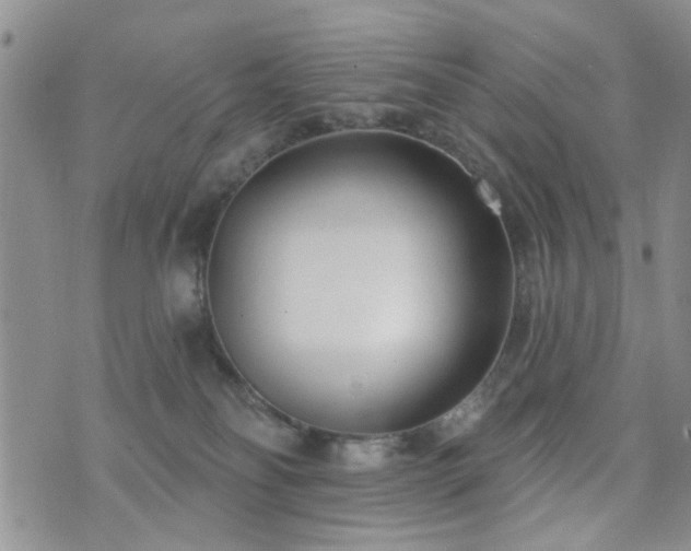 X0000073710134200608031249