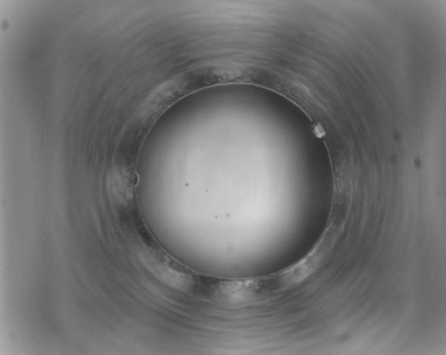 X0000073710136200608031249