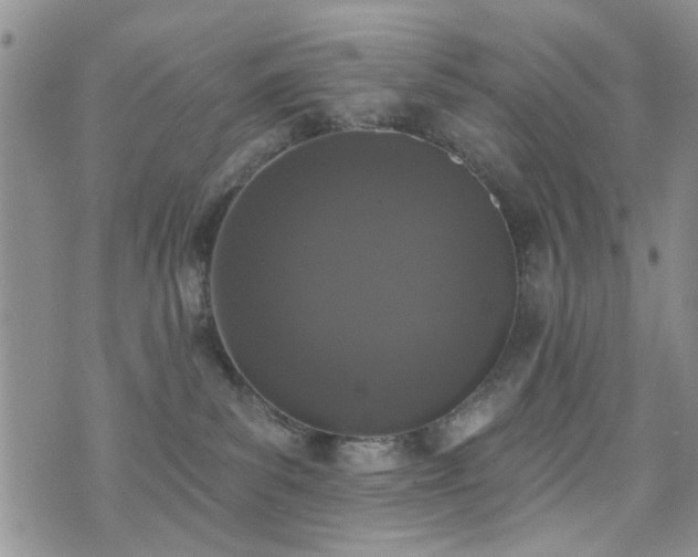 X0000073710139200608031249