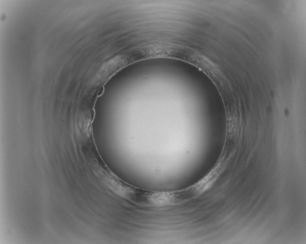 X0000073710142200608031249