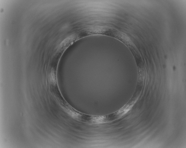 X0000073710143200608031249