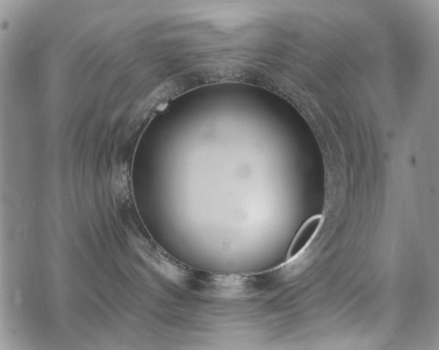 X0000073710144200608031249