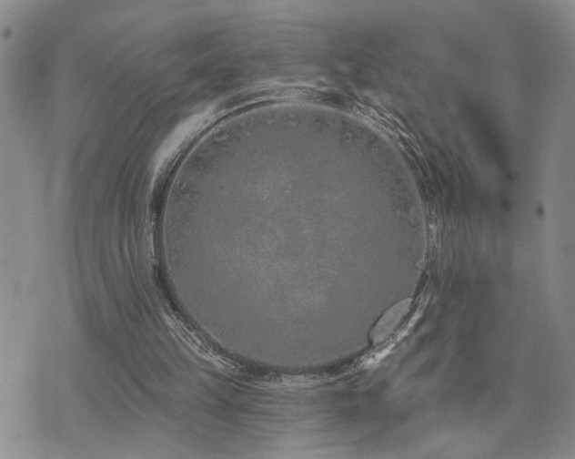 X0000073710149200608031248