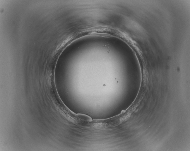 X0000073710153200608031248