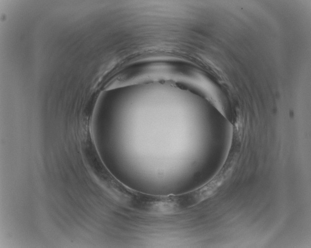 X0000073710168200608031248