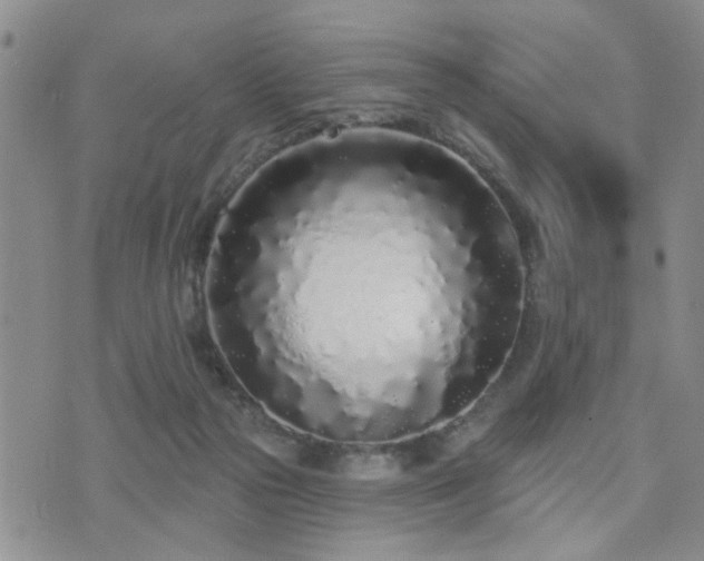 X0000073710169200608031248