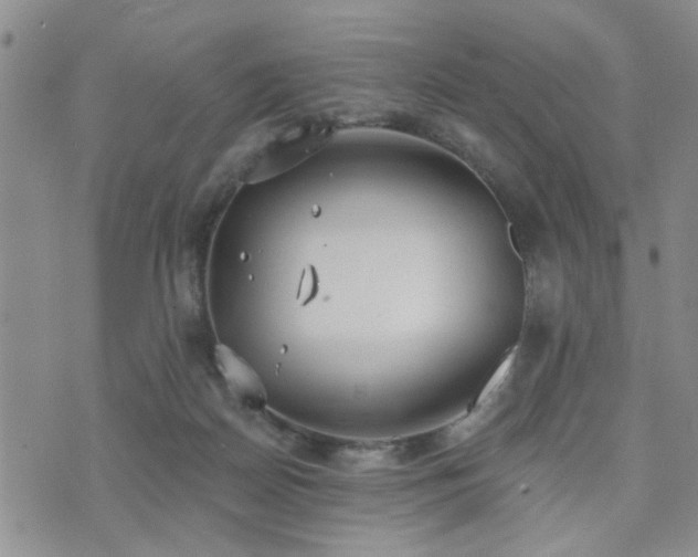 X0000073710170200608031248