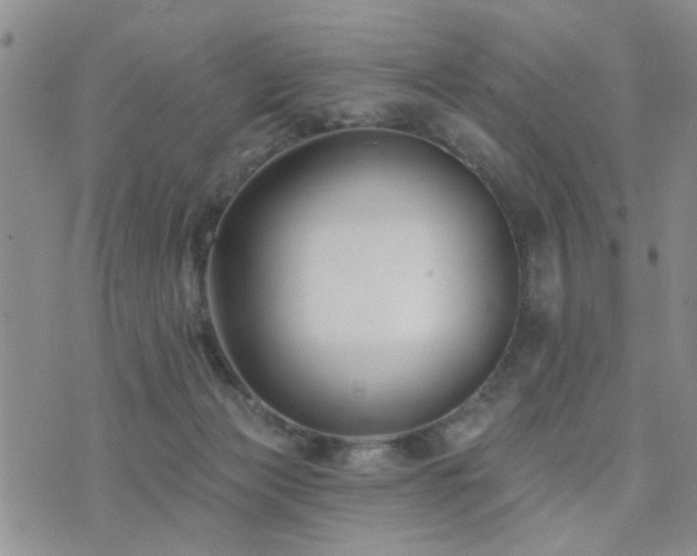 X0000073710173200608031248