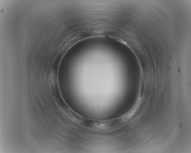 X0000073710174200608031248