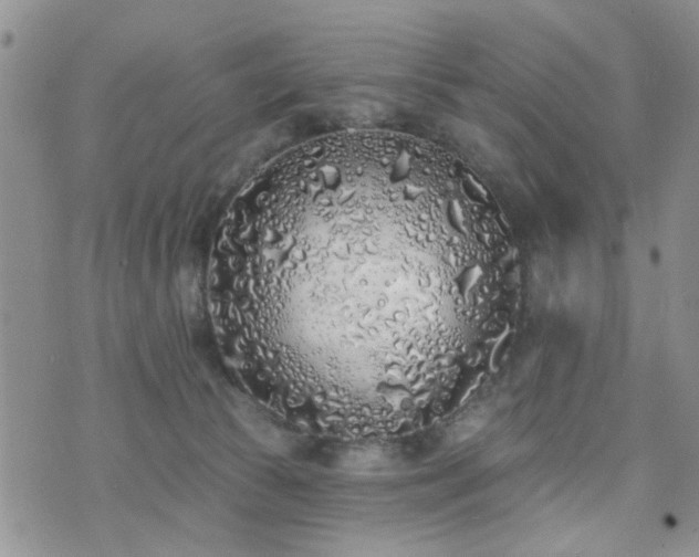 X0000073710177200608031249