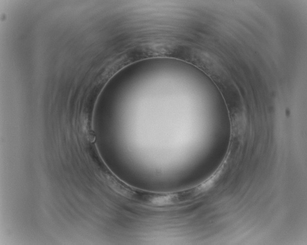 X0000073710178200608031249