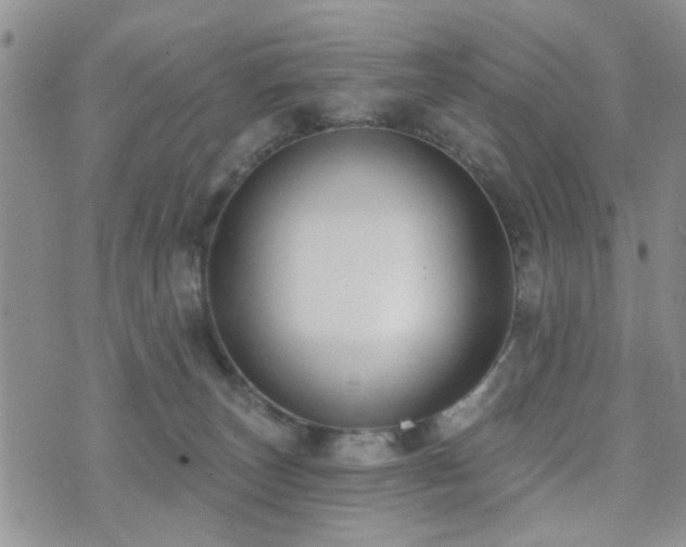 X0000073710179200608031249